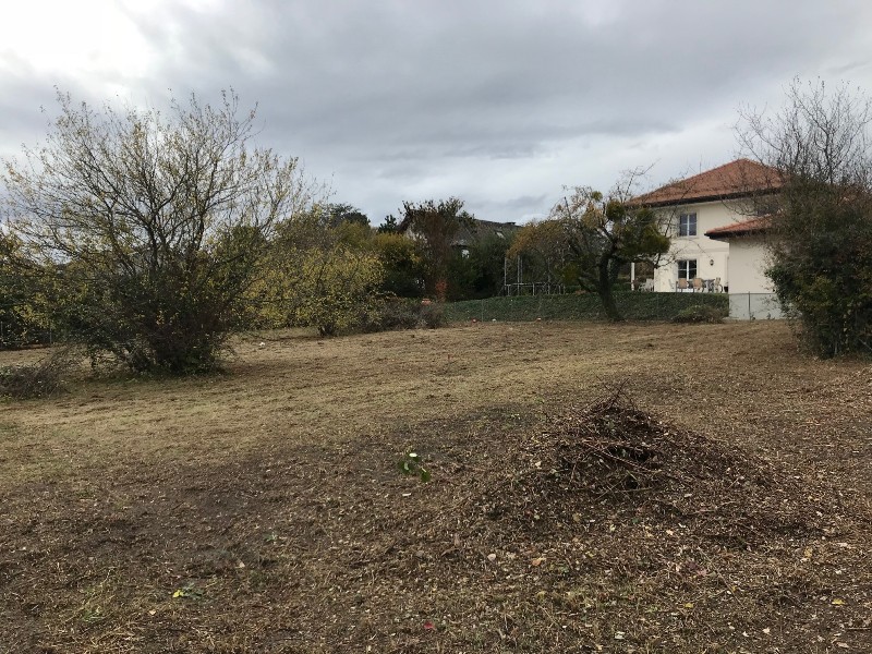 Avancement chantier Mies, collaboration SO management