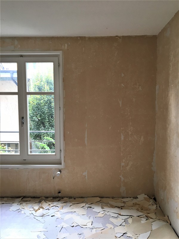 Ouverture de chantier : Carouge